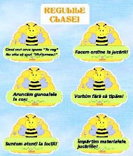 Set 6 reguli pentru clasa albinutelor